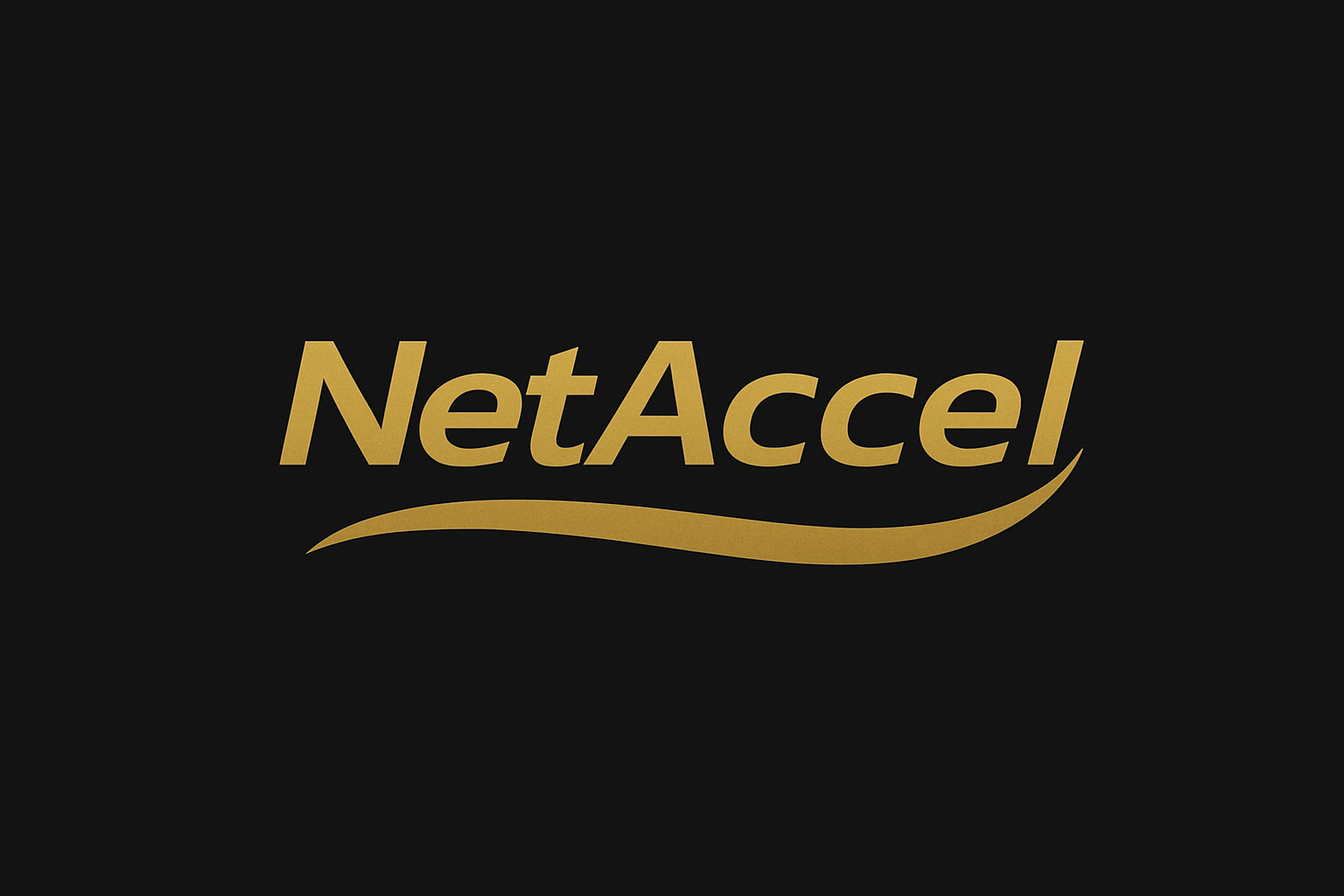 NetAccel Logo