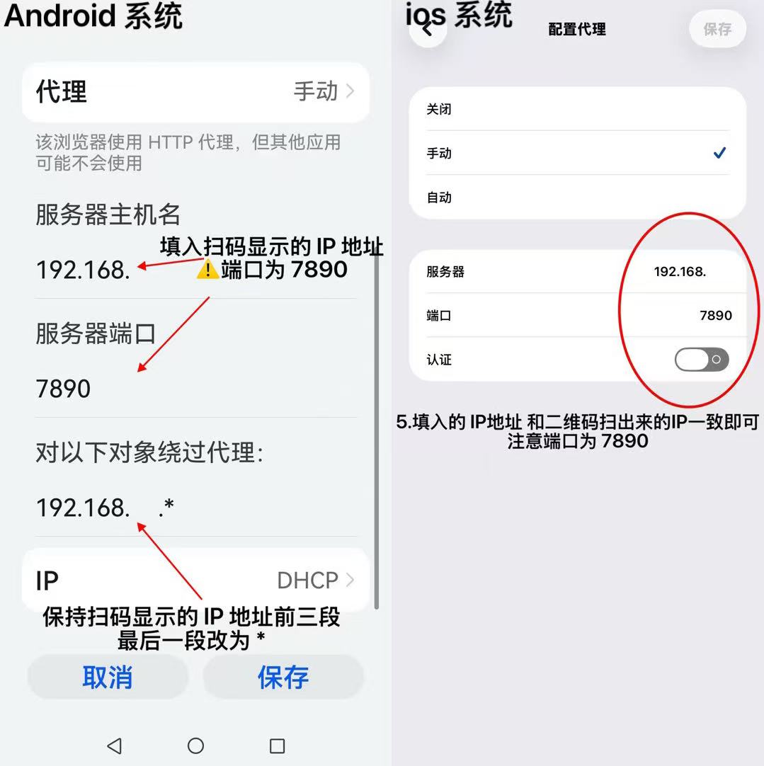 Proxy setup complete